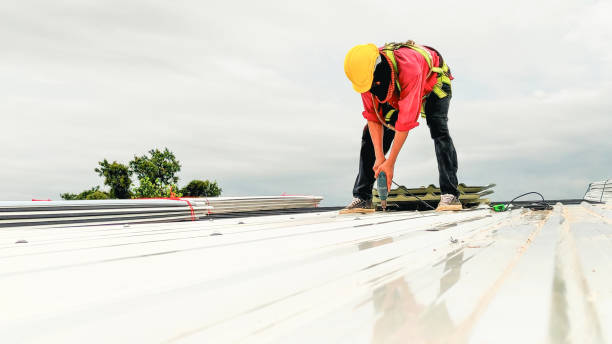 Sheet Metal Roofing in St Peters, MO